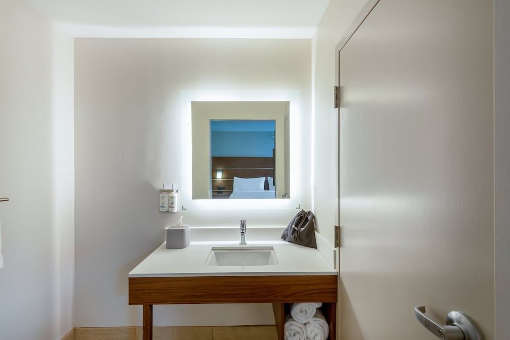 Suite, 1 King Bed with Sofa bed