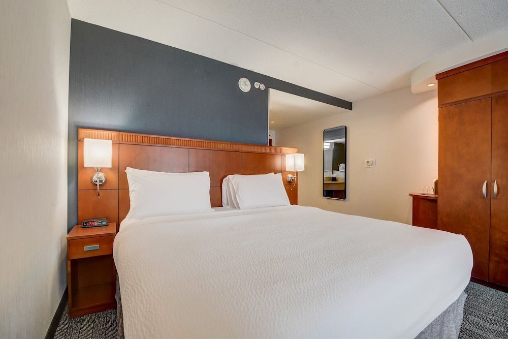 Room, 1 King Bed with Sofa bed (Hearing Accessible)