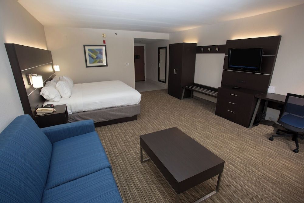 Suite, 1 King Bed with Sofa bed