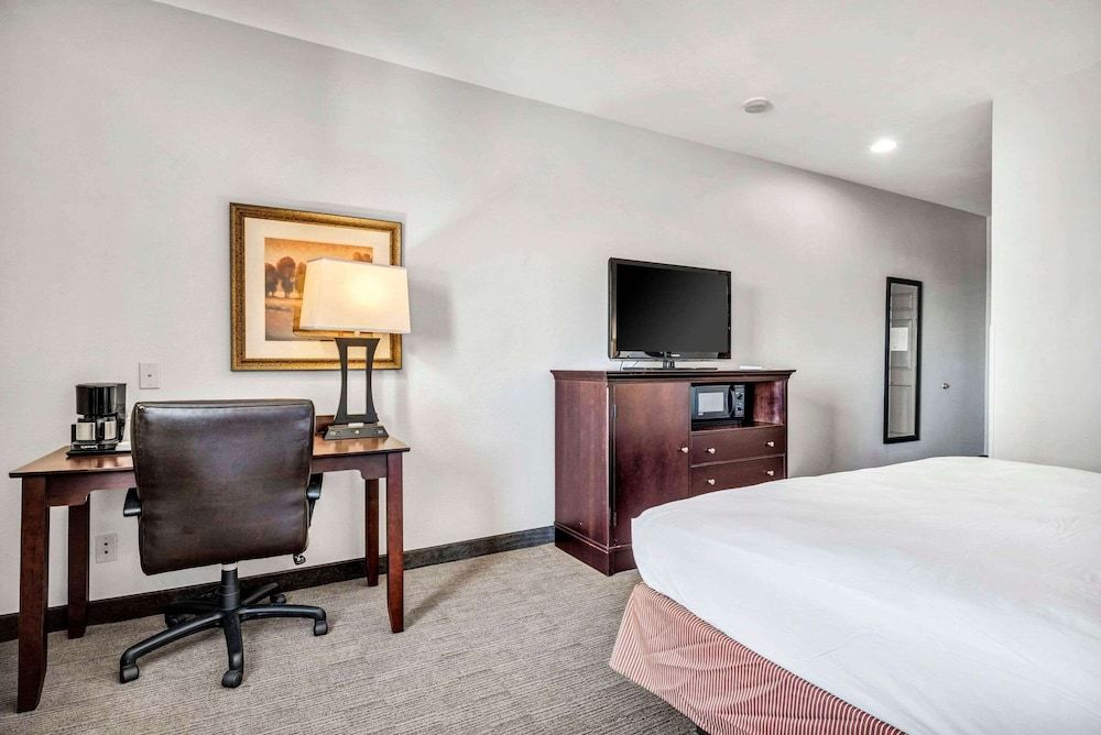 Room, 1 King Bed, Non Smoking