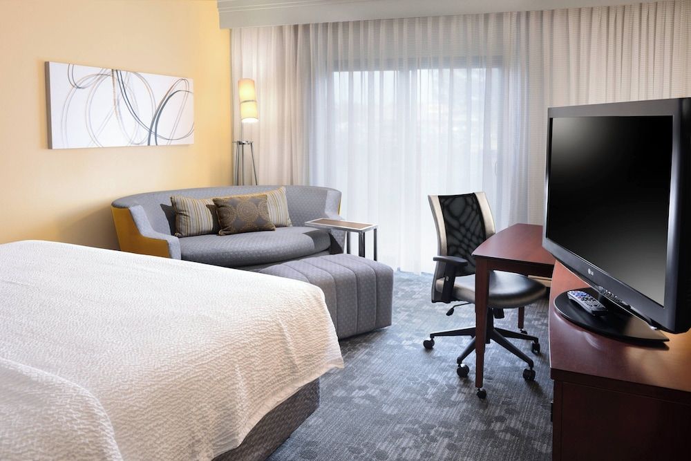 Room, 1 King Bed with Sofa bed