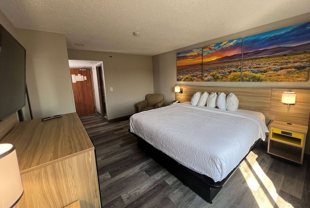 Room, 1 King Bed, Non Smoking (Mobility, Roll-In Shower)