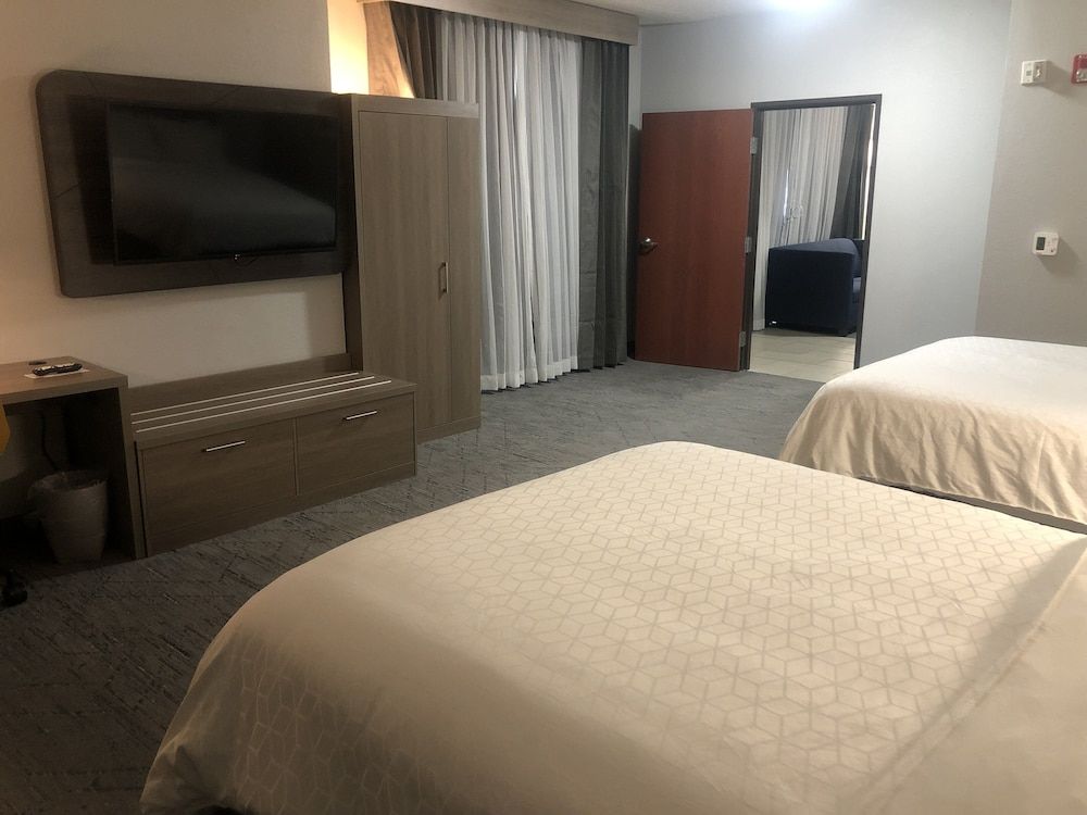 Suite, 1 Bedroom (Additional Living Area)