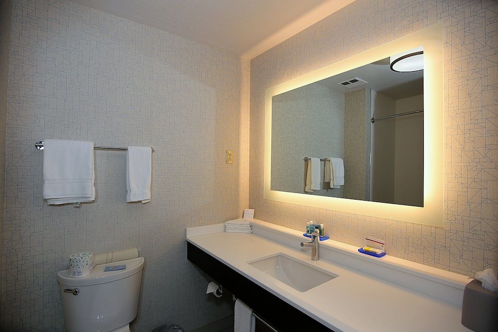 Suite, 1 King Bed with Sofa bed