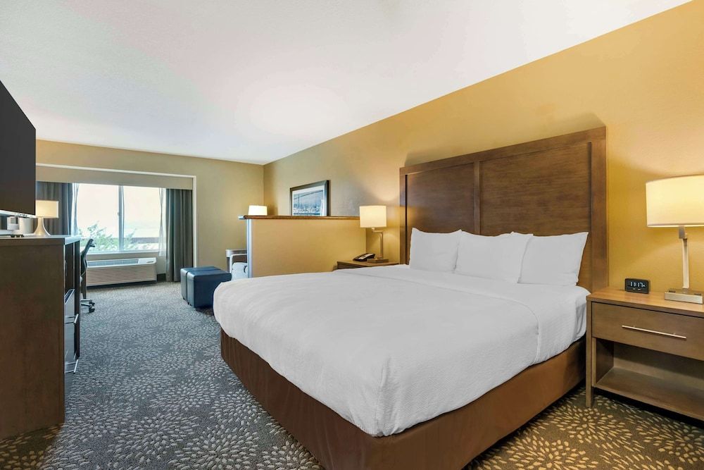 Standard Room, 1 King Bed, Accessible, Bathtub (with Single Sofabed)