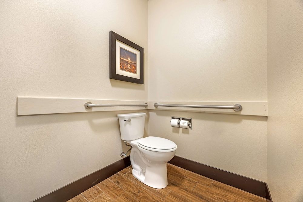 Standard Room, 1 King Bed, Accessible, Bathtub (with Single Sofabed)