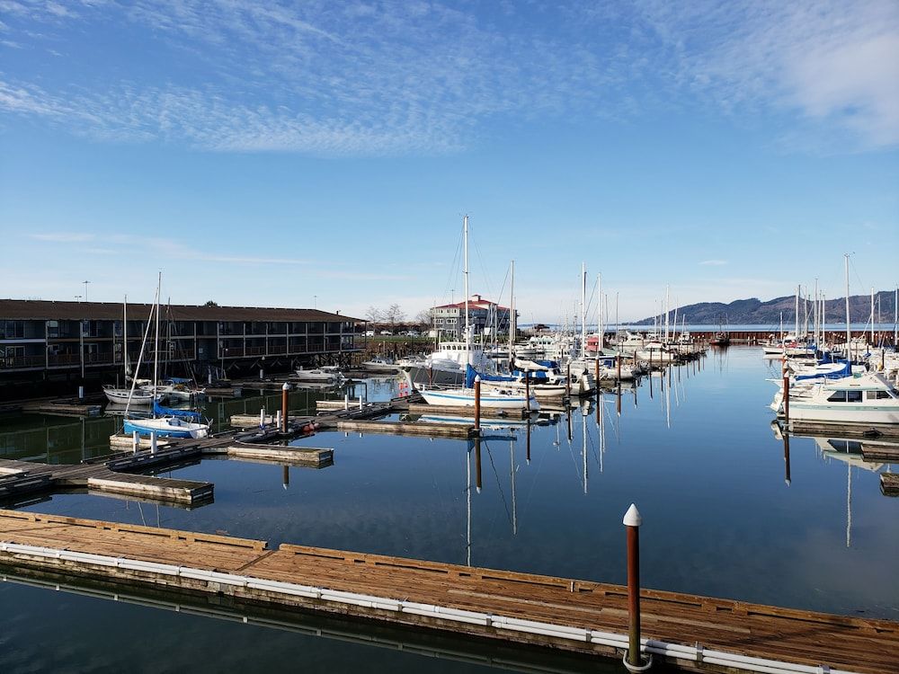 Premium King Theme Room with Marina View and Balcony Not Pet Friendly