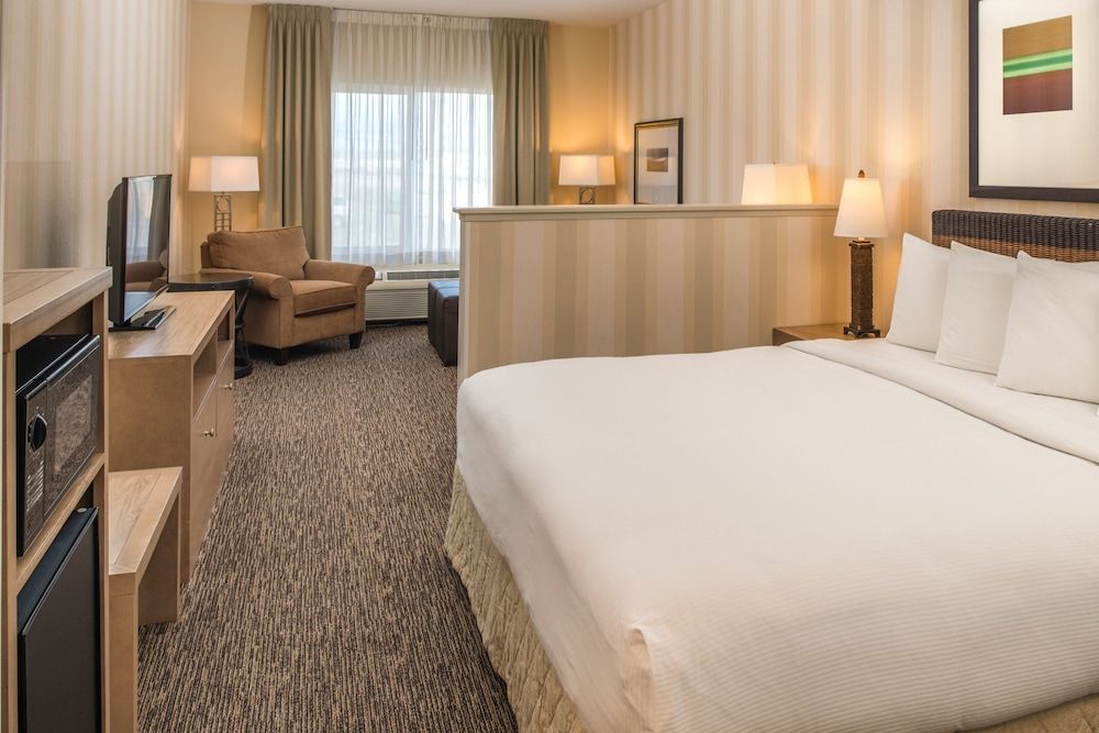 Room, 1 King Bed, Non Smoking