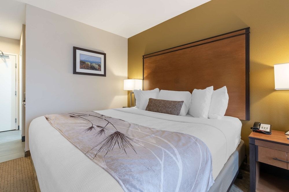 Best Western Bend North Standard Room, 1 King Bed, Non Smoking, Refrigerator & Microwave 2