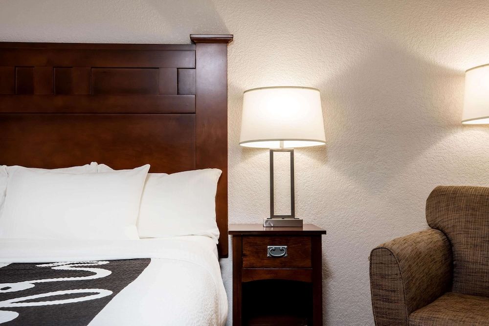 Room, 1 King Bed, Non Smoking