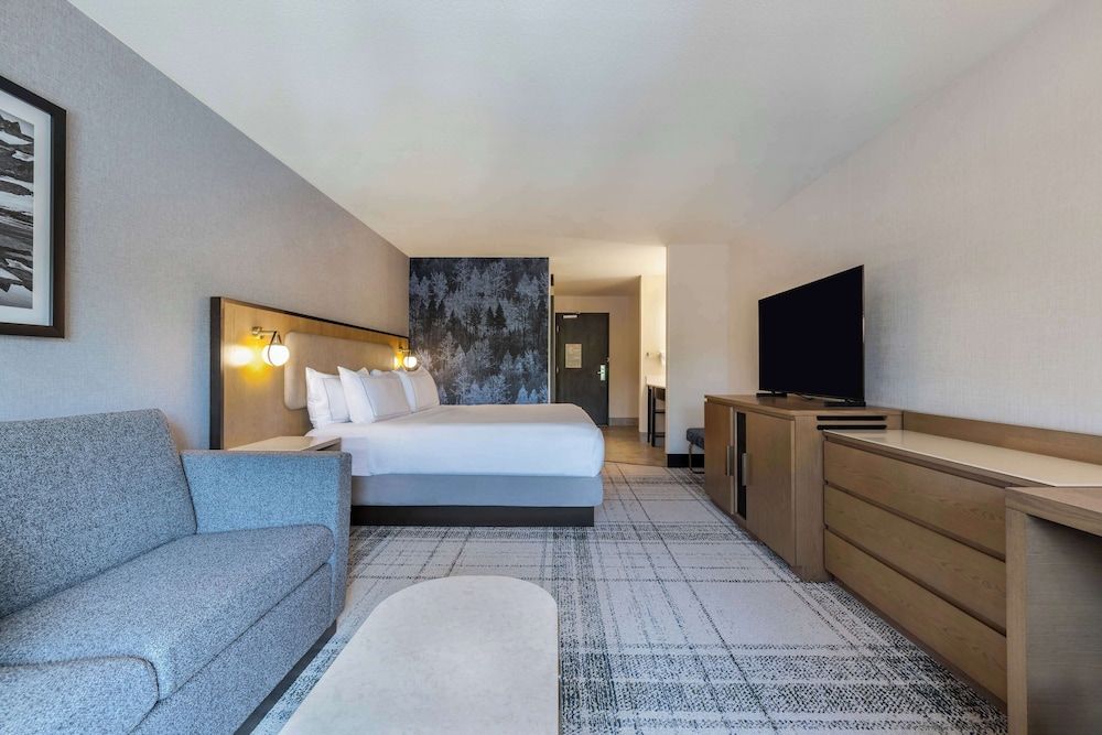 Room, 1 King Bed, Accessible (Roll-In Shower)