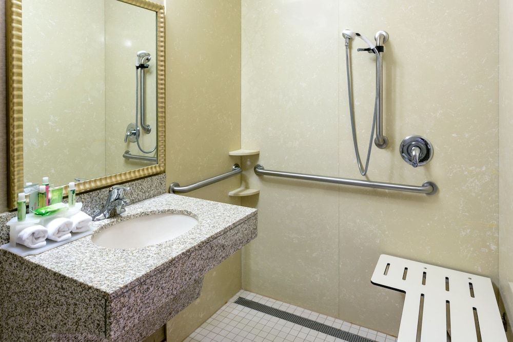 Suite, 1 King Bed, Accessible (Communication, Roll-In Shower)