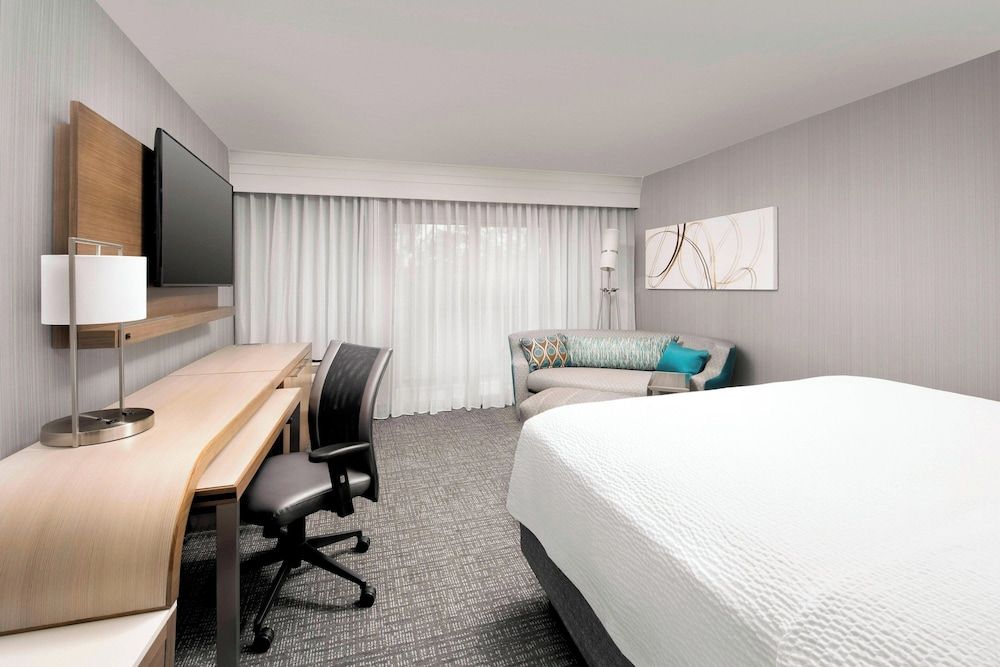 Room, 1 King Bed with Sofa bed (Mobility Accessible, Roll-In Shower)
