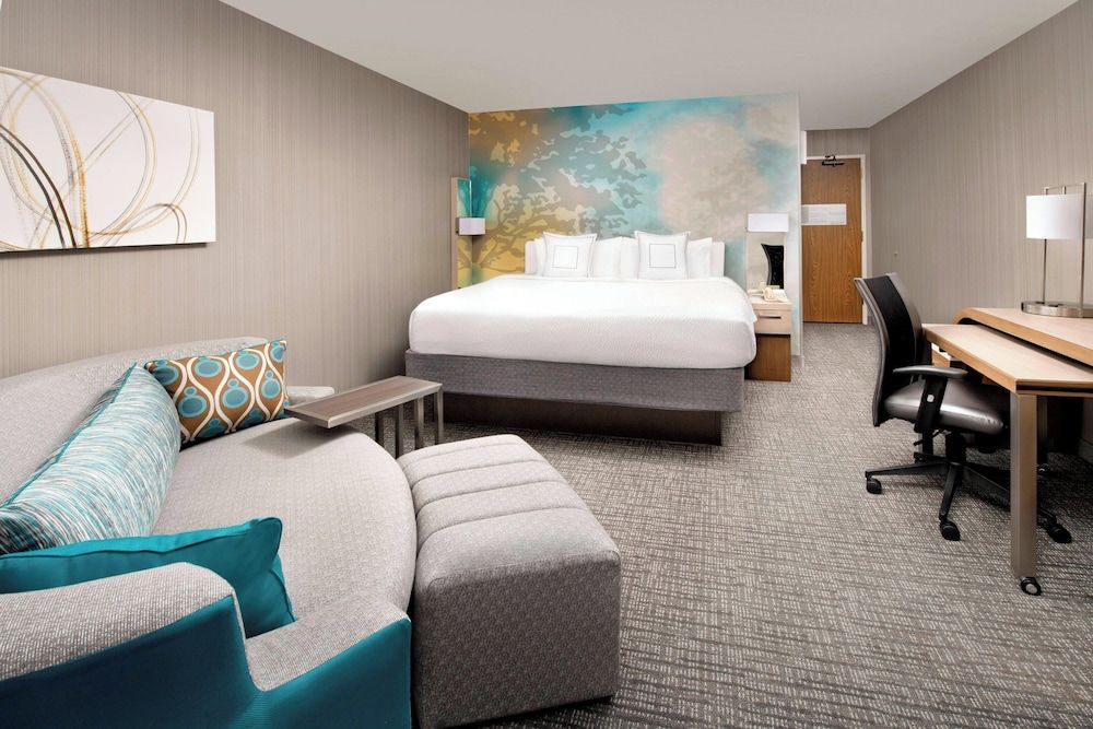 Room, 1 King Bed with Sofa bed (Mobility Accessible, Roll-In Shower)