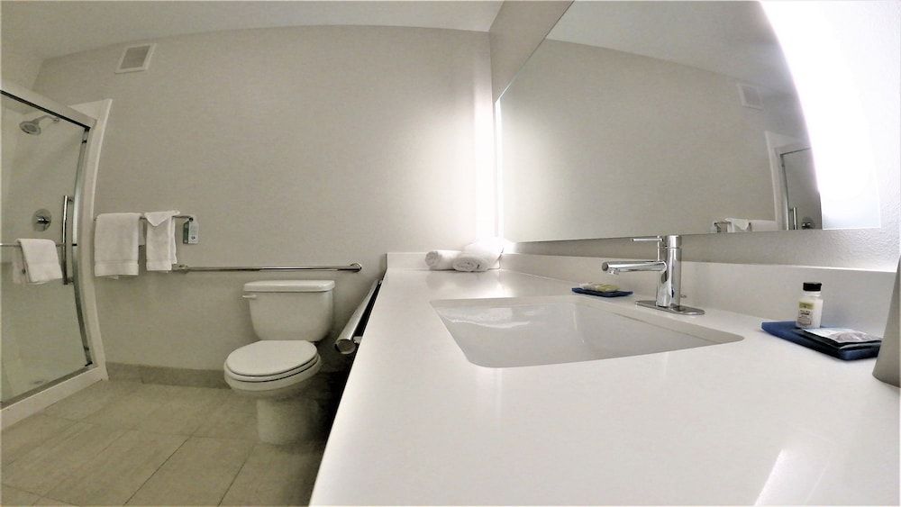 Suite, 1 King Bed (Two Televisions Pet Friendly)