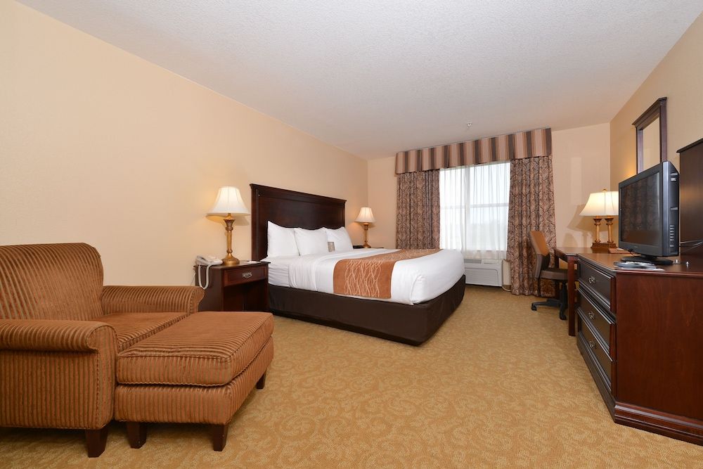 Standard Room, 1 King Bed, Non Smoking