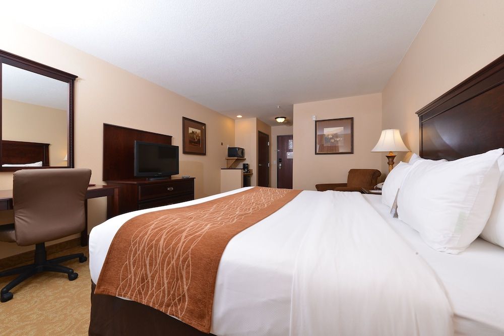 Standard Room, 1 King Bed, Non Smoking