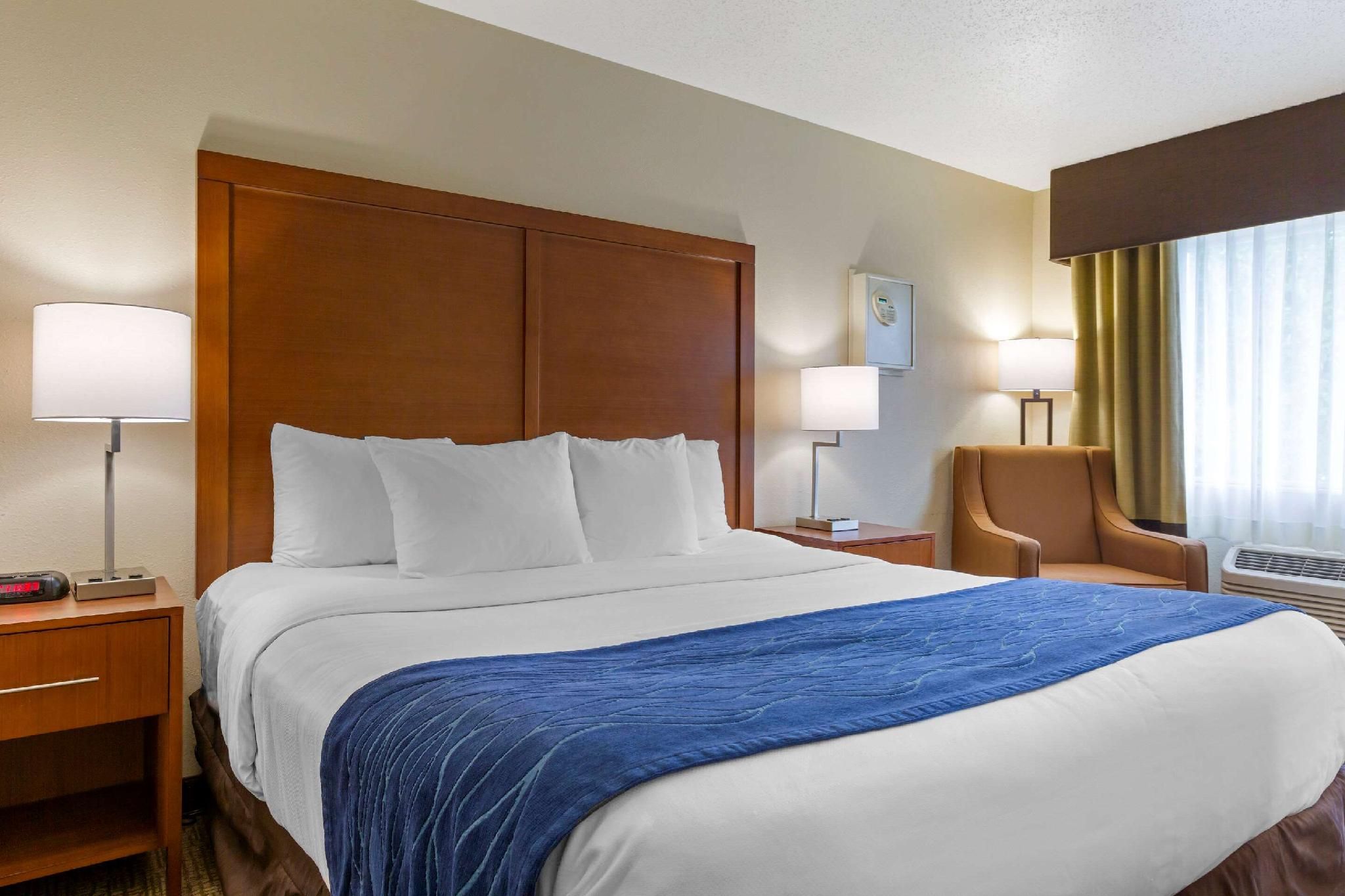 1 King Bed, Nonsmoking, Accessible