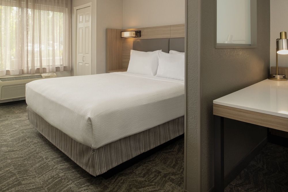 Suite, 1 King Bed
