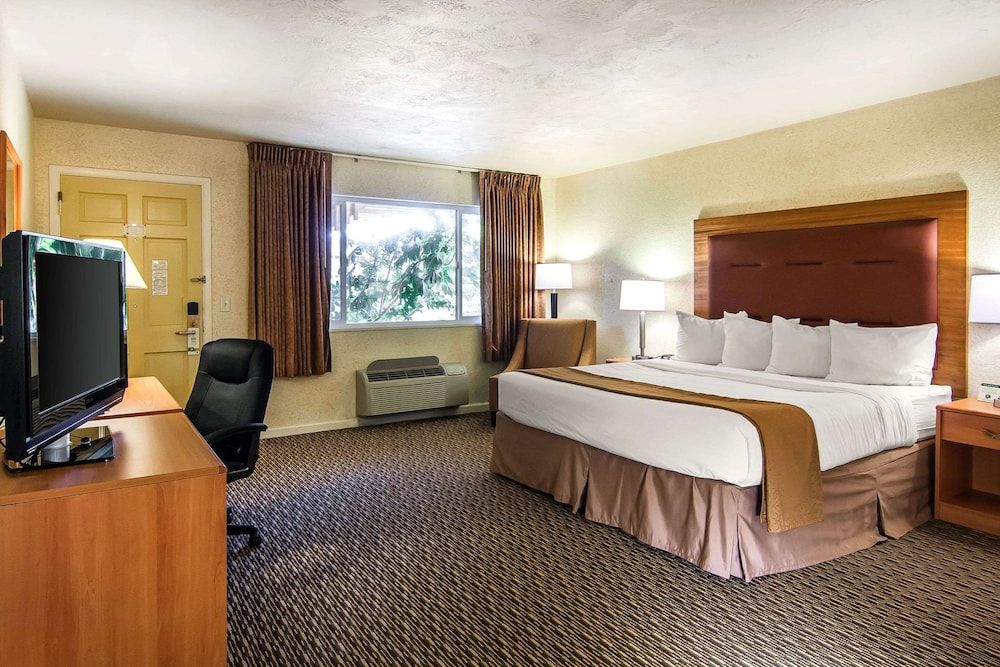 Suite, 1 King Bed, Non Smoking