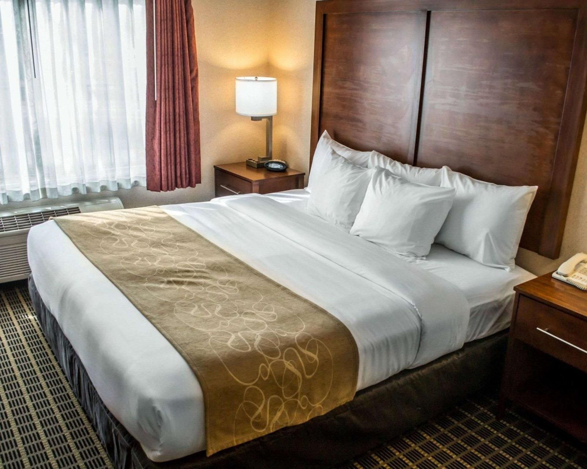 1 King Bed, Suite, Nonsmoking, Accessible
