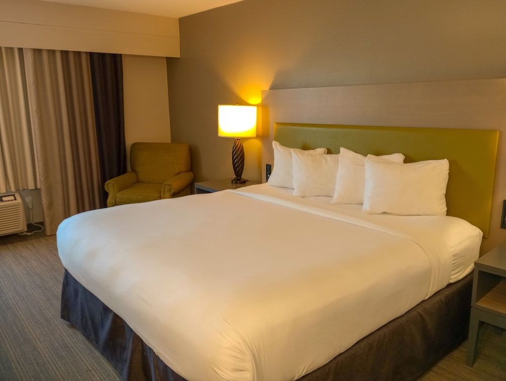 Room, 1 King Bed, Non Smoking