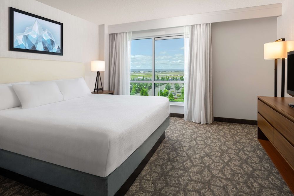 Suite, 1 King Bed with Sofa bed