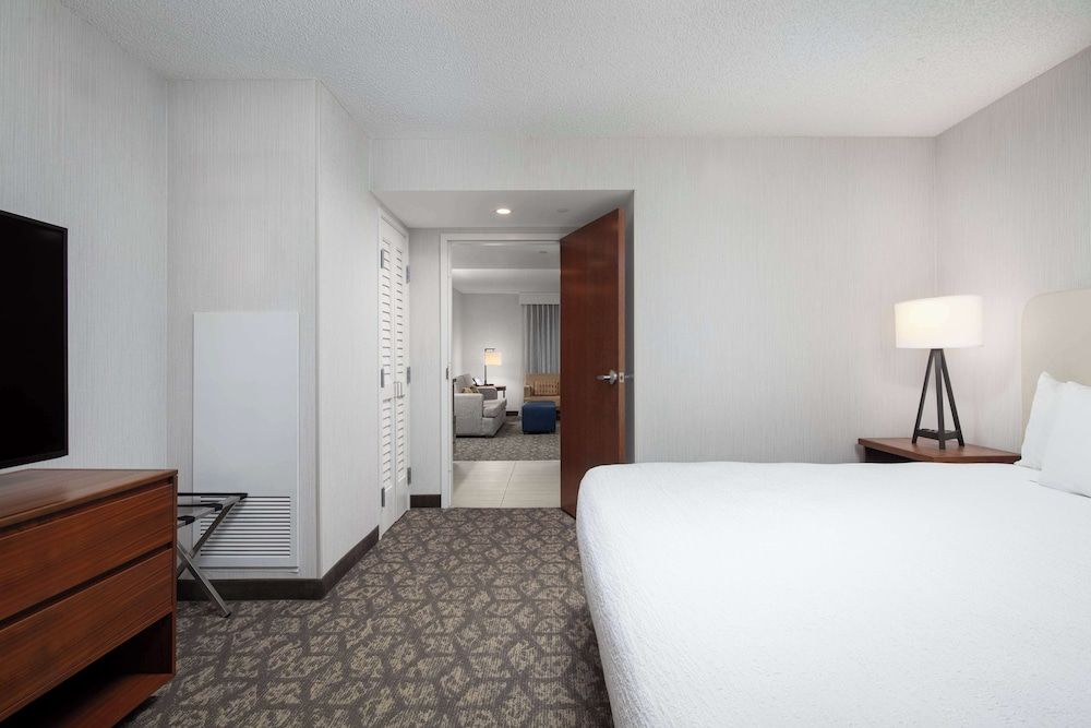 Standard Suite One King and One Sofa Bed Accessible