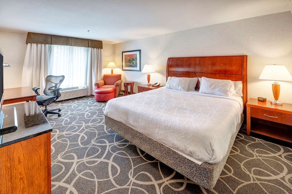 Room, 1 King Bed