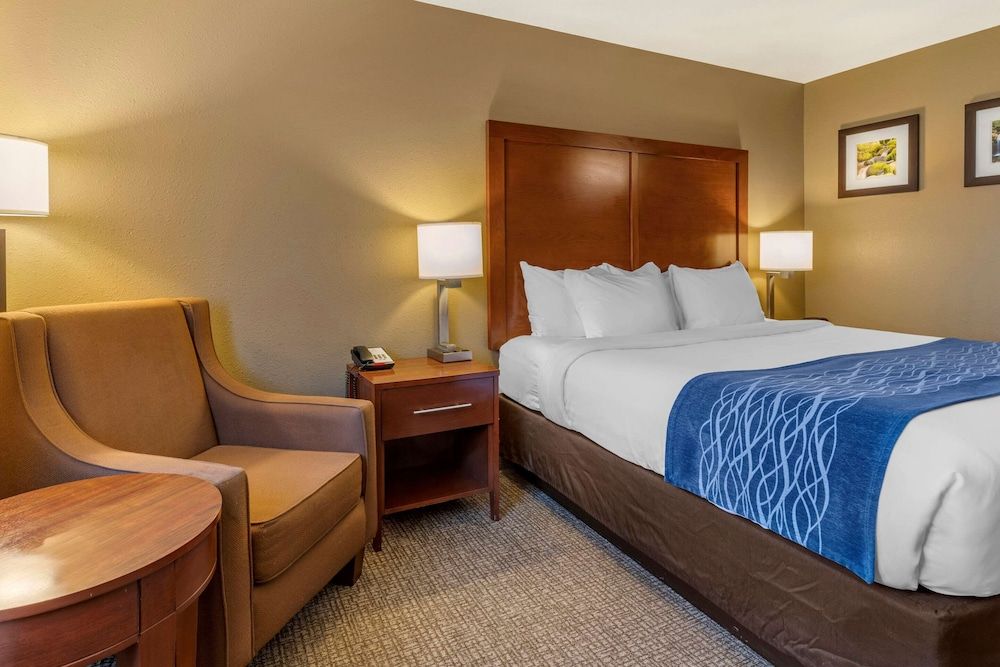 Standard Room, 1 King Bed