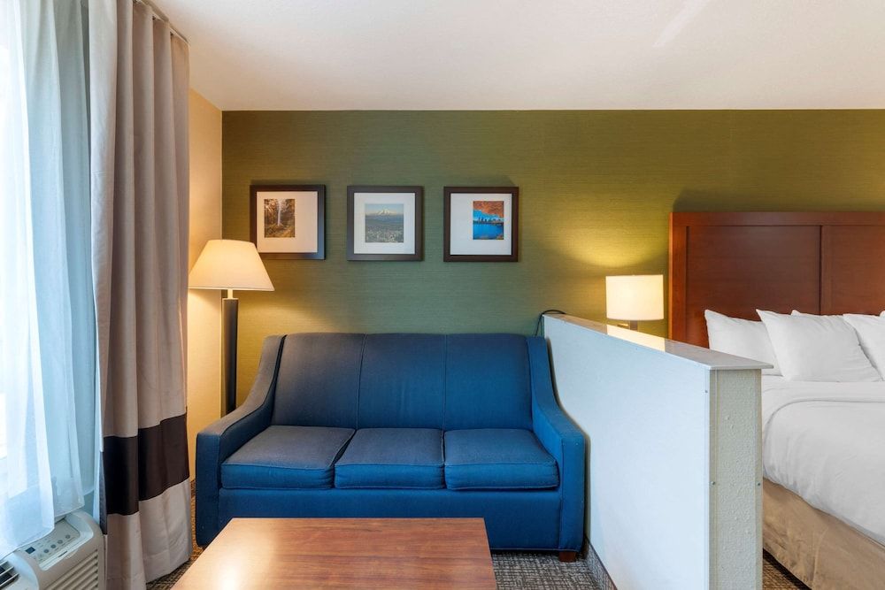 Suite, 1 King Bed with Sofa bed, Non Smoking