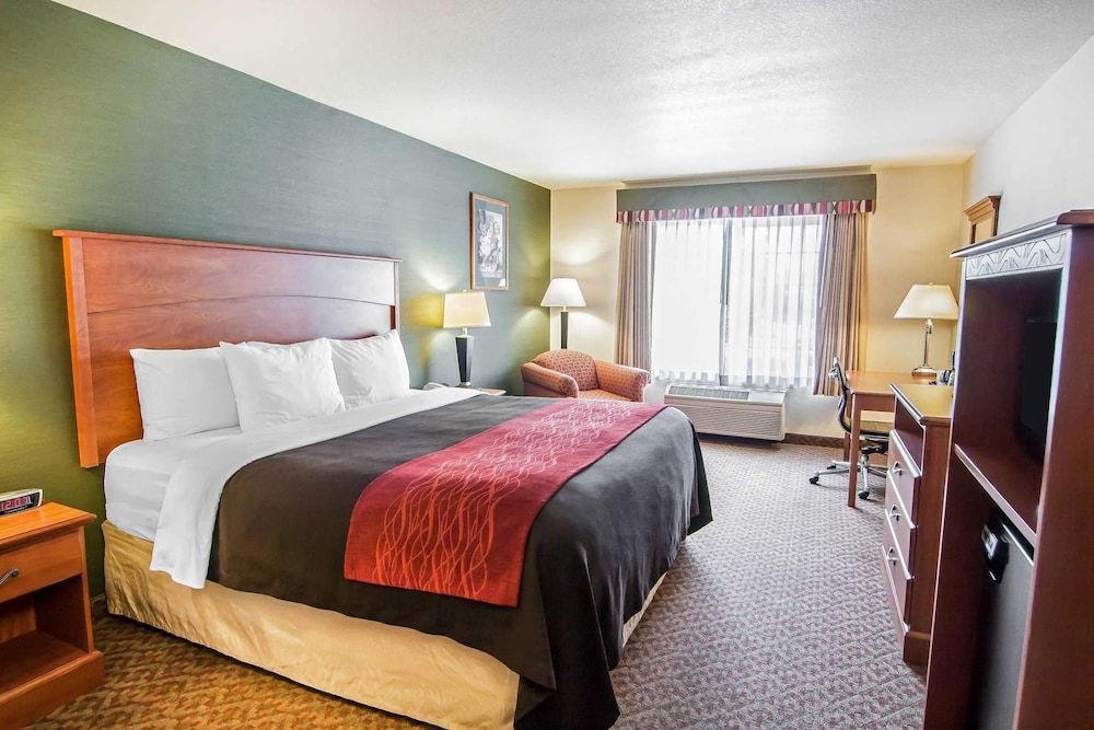 Standard Room, 1 King Bed, Non Smoking