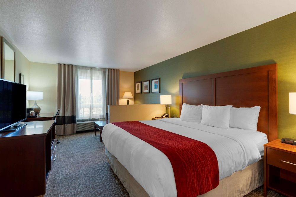 Suite, 1 King Bed with Sofa bed, Non Smoking