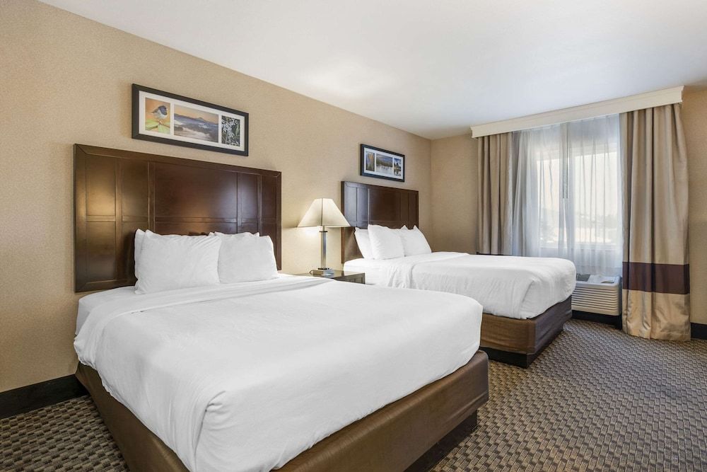 Standard Room, 2 Double Beds, Non Smoking (No Pets)