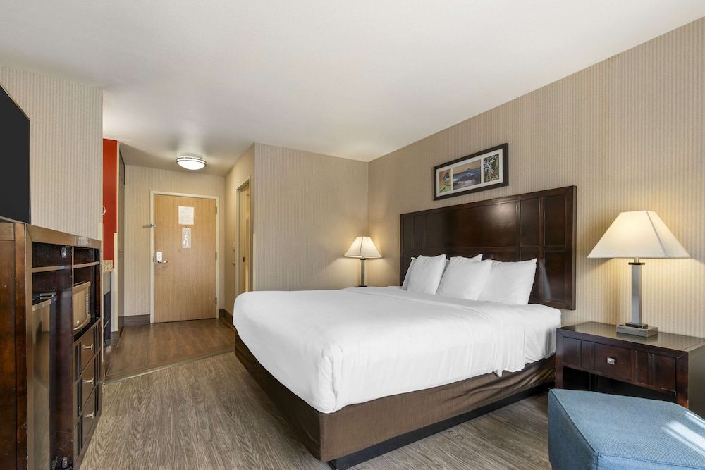 Standard Room, 1 King Bed, Non Smoking (Pet Friendly)