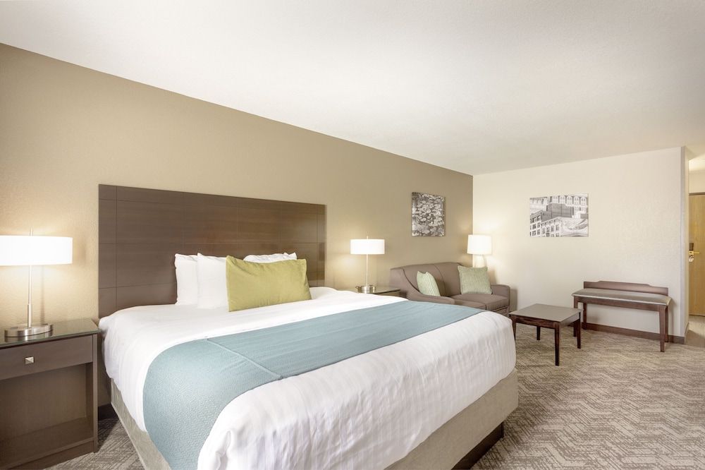 Standard Room, 1 King Bed, Non Smoking