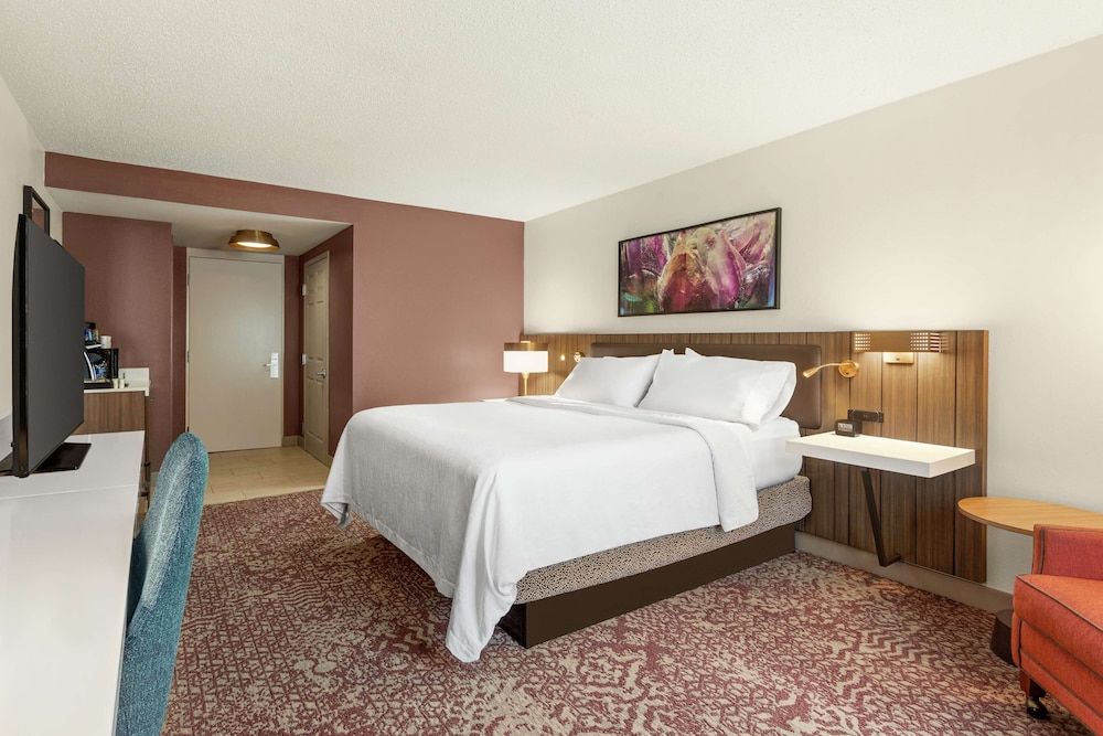 Room, 1 King Bed, Accessible, Bathtub (Mobility & Hearing)