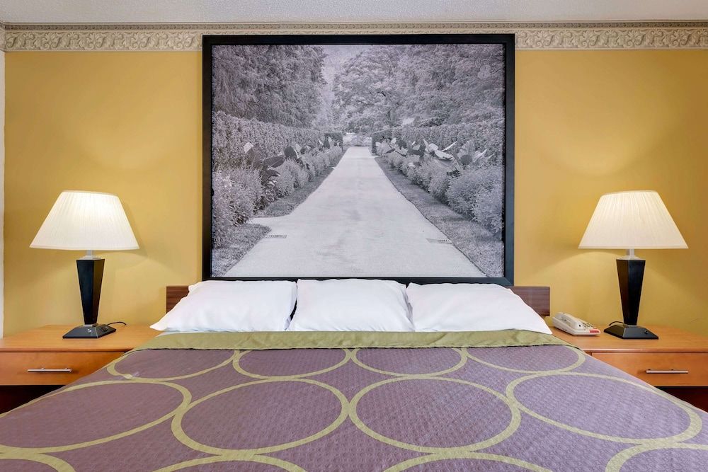 Room, 1 King Bed, Accessible