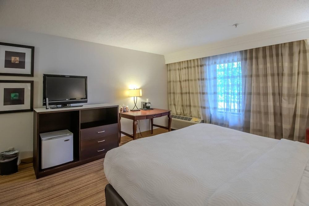 Suite, 1 King Bed, Non Smoking
