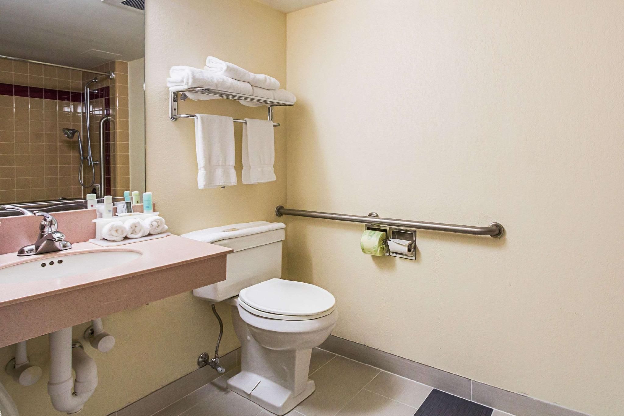 1 King Bed, Nonsmoking, Accessible