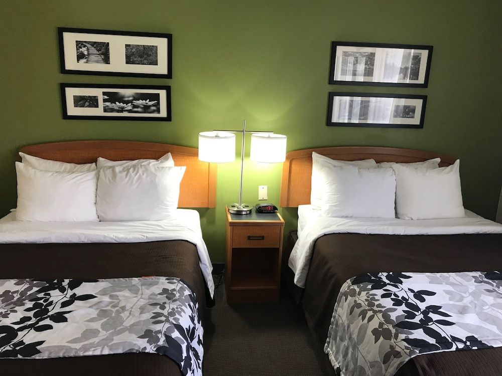 Standard Double Room, 2 Double Beds, Non Smoking
