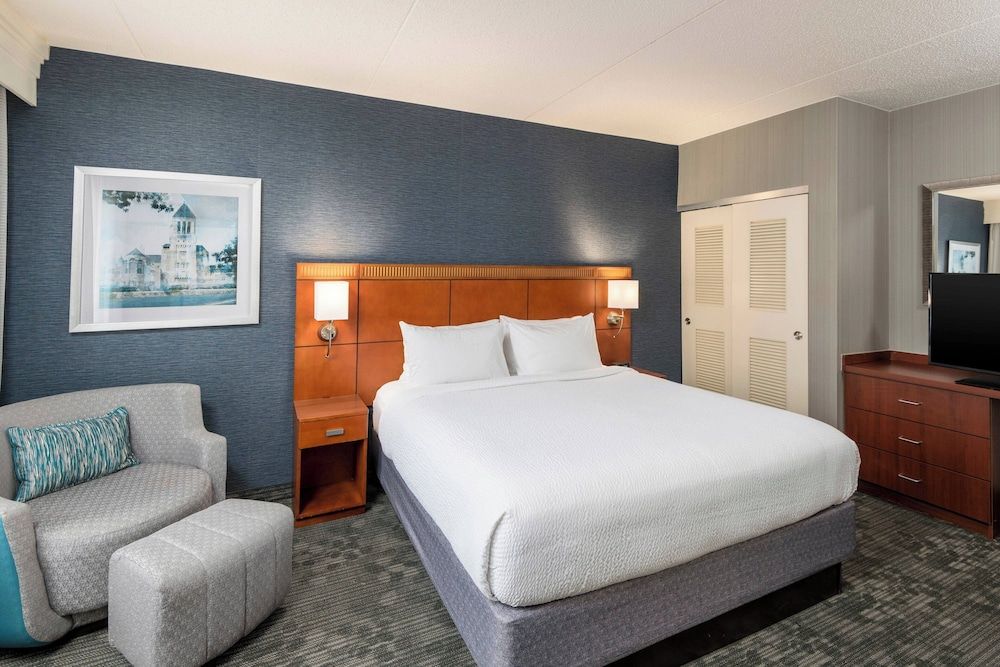 Suite, 1 King Bed with Sofa bed
