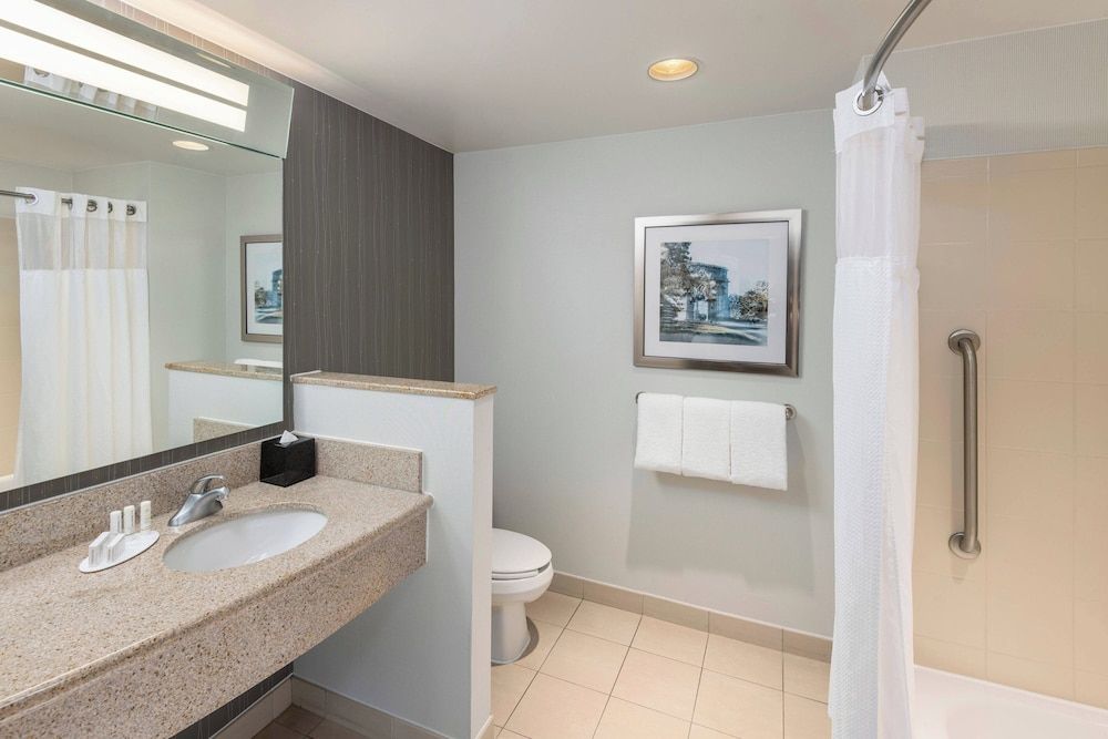 Suite, 1 King Bed with Sofa bed