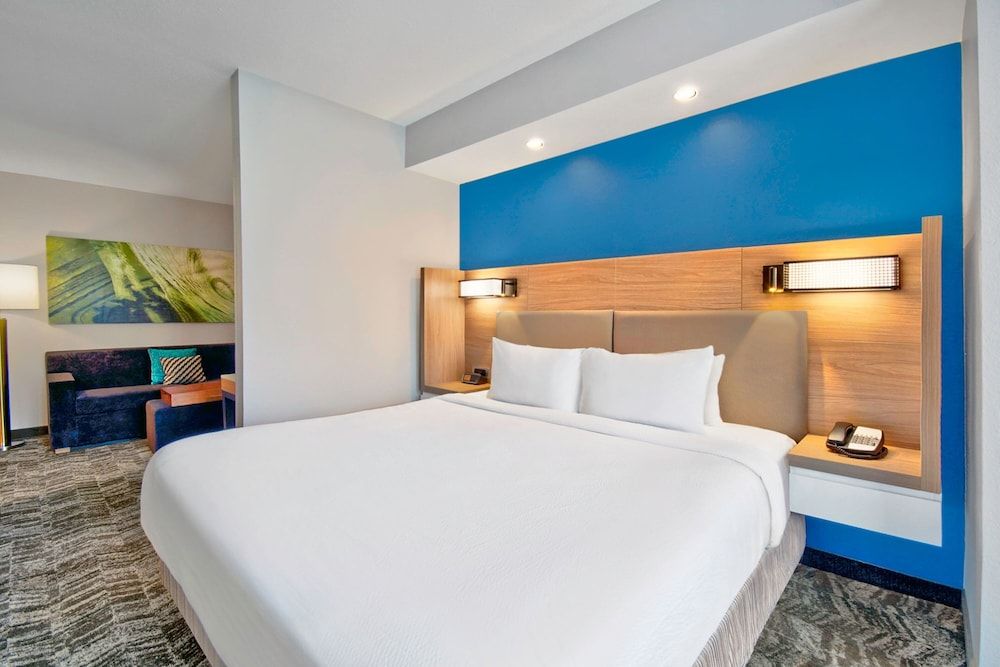 Suite, 1 King Bed with Sofa bed, Non Smoking