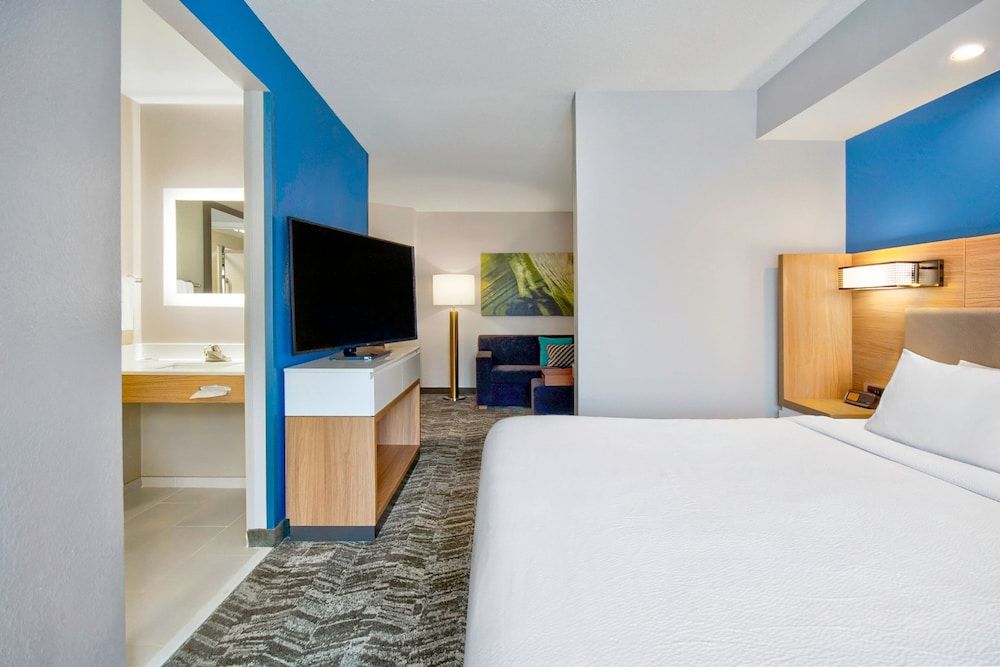 Suite, 1 King Bed with Sofa bed, Non Smoking