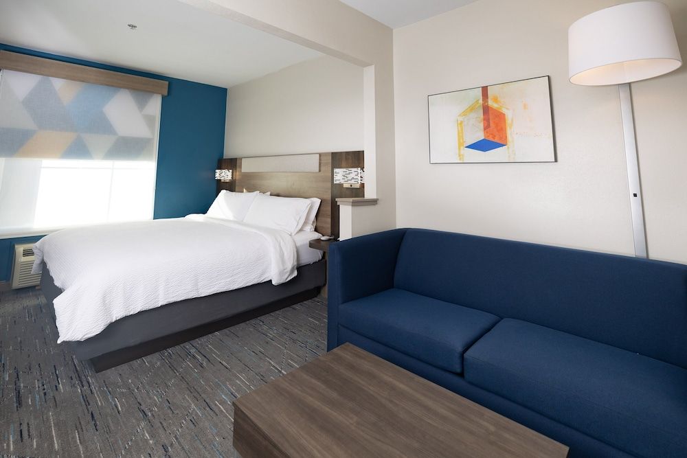 Suite, 1 King Bed with Sofa bed