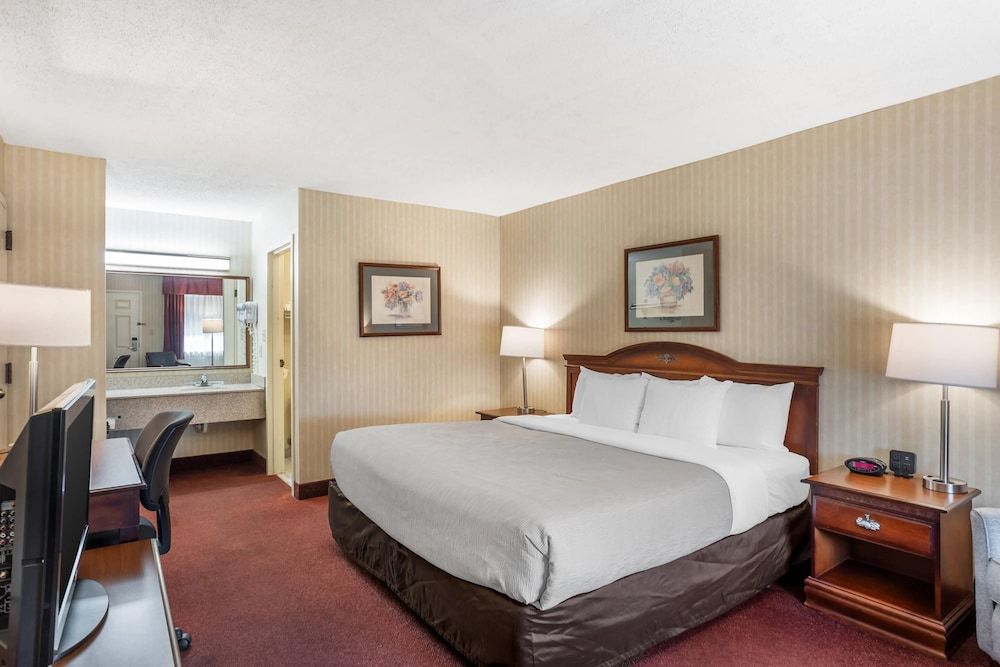 Standard Room, 1 King Bed, Non Smoking