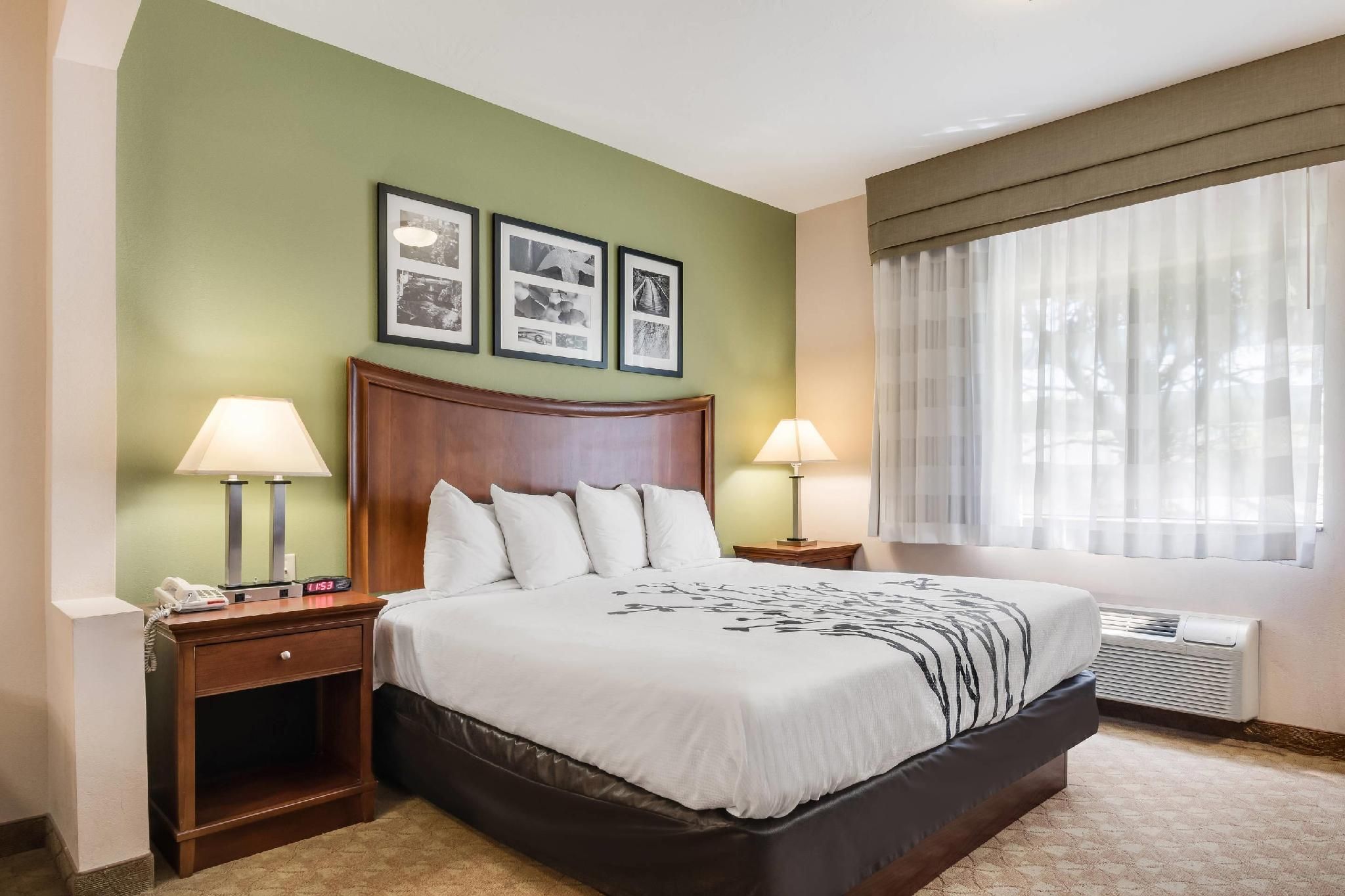 1 King Bed, Nonsmoking