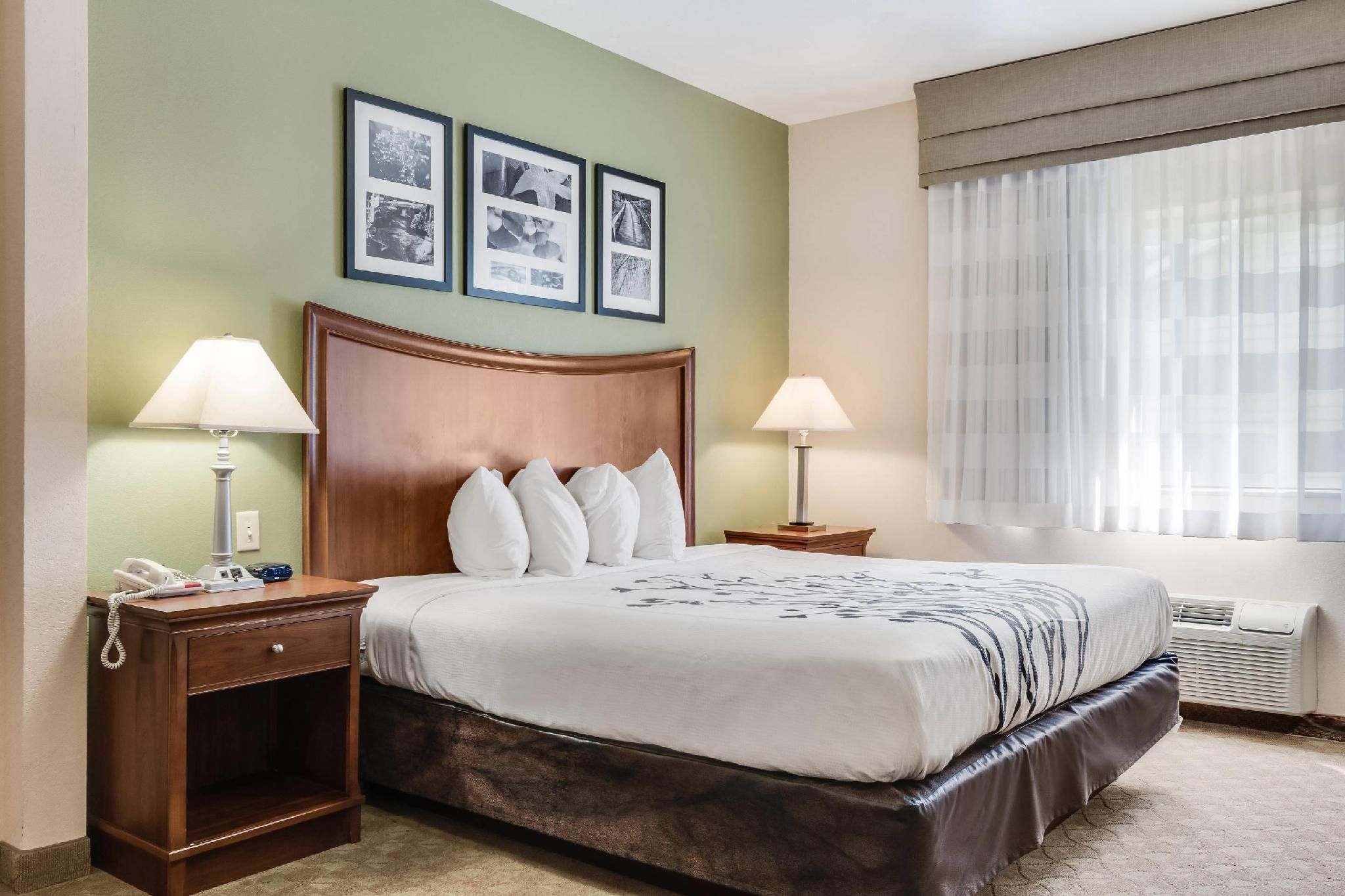 1 King Bed, Nonsmoking, Accessible