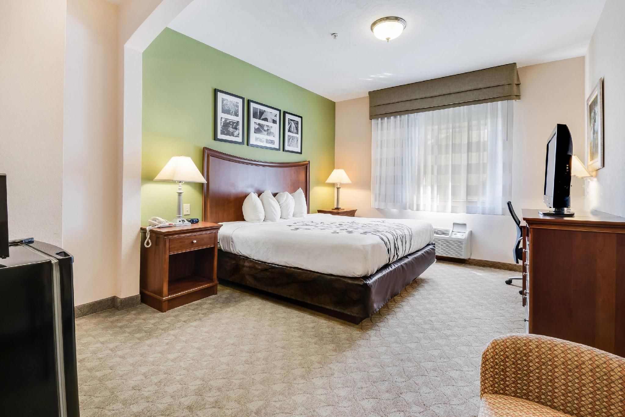 1 King Bed, Nonsmoking, Accessible